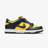 Secret Sneaker Store Online Nike Dunk Low Michigan Preschool - | Kids Footwear