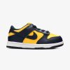 Secret Sneaker Store Online Nike Dunk Low Toddler Michigan 2021 | Kids Footwear