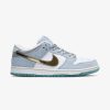 Secret Sneaker Store Online Nike Sb Dunk Low Sean Cliver | Nike