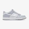 Secret Sneaker Store Online Nike Dunk Low Gs Two Tone Grey | Nike