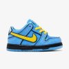 Secret Sneaker Store Online Nike X The Powerpuff Girls Nike Sb Dunk Bubbles Blue Toddler (New) | Kids Footwear