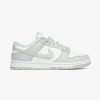 Secret Sneaker Store Online Nike Dunk Low Retro Grey Fog | Nike