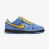 Secret Sneaker Store Online Nike X The Powerpuff Girls Nike Sb Dunk Bubbles Blue Preschool | Kids Footwear