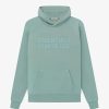 Secret Sneaker Store Online Fog Essentials Ss23 Silicon Sycamore Hoodie | Hoodies