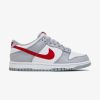 Secret Sneaker Store Online Nike Dunk Low Gs White Grey Red | Nike