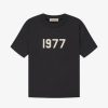 Secret Sneaker Store Online Fog Essentials Ss22 1977 Iron Tee | Tees