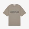 Secret Sneaker Store Online Fog Essentials Ss20 Silicon Applique Logo Taupe Tee - | Tees