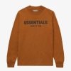 Secret Sneaker Store Online Fog Essentials Ss21 Silicon Applique Vicunia Brown Longsleeve Kids (New) | Kids Apparel